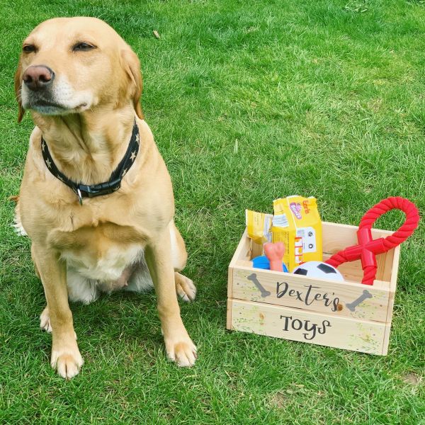 image of personalised dog treat crate