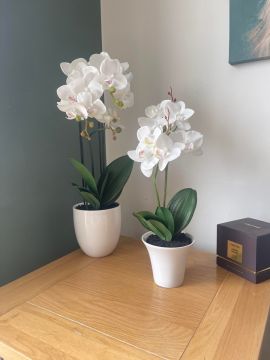 Premium Silk Artificial White Orchid Plant in White Ceramic Pot