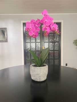Premium Silk Artificial Pink Orchid Plant in Black Ceramic Pot
